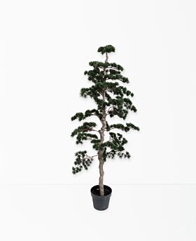Bonsai tree - green