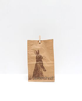 Meadow Easter gift bag - rabbit in grass