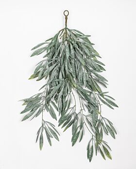 Olive hanging foliage