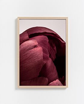PAPER COLLECTIVE Peonia 01 print - Envelope 30x40cm