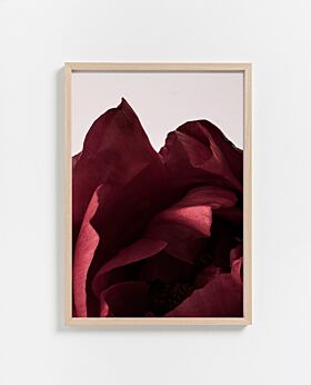 PAPER COLLECTIVE Peonia 03 print