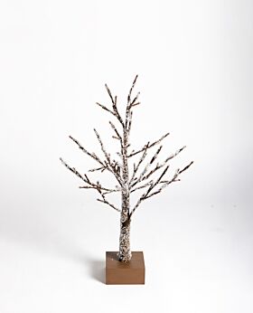 Spruce LED tree - dark chocolate w ice - small