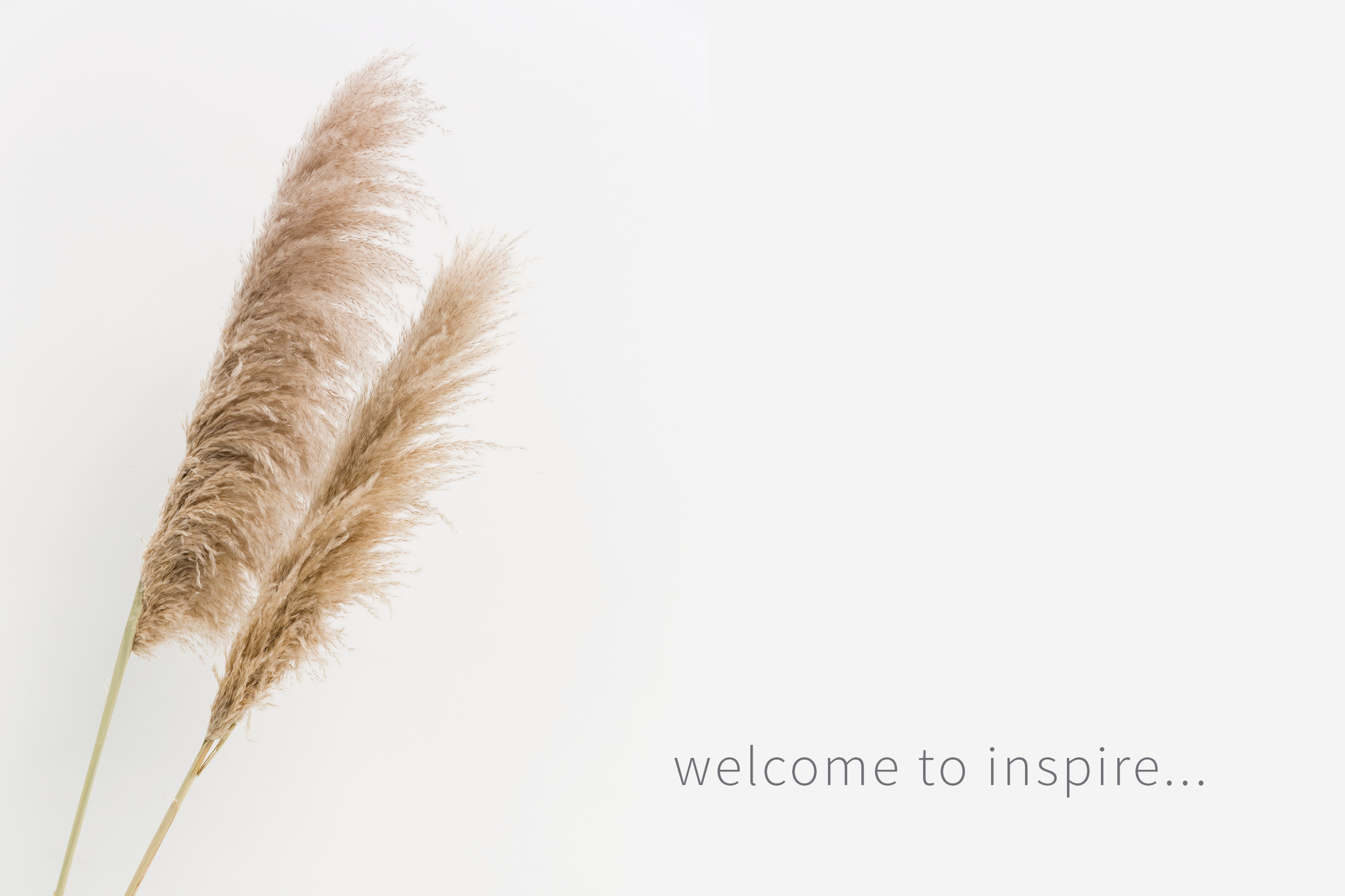 Welcome to INSPIRE